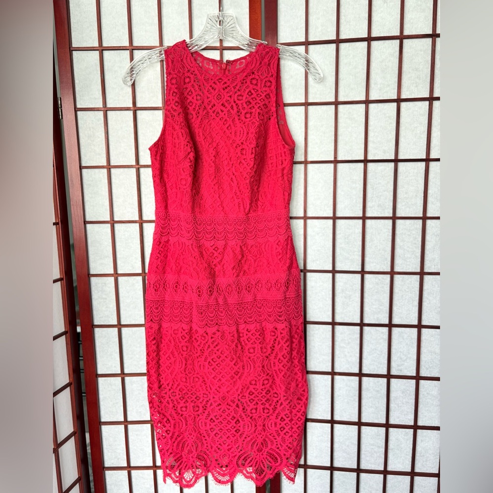 Stunning Tadashi Shoji Red lace dress